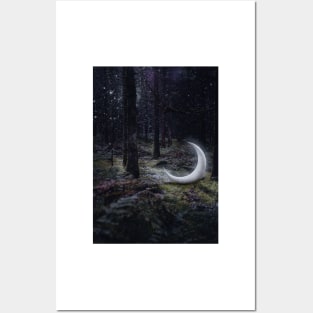 Moon Shine Posters and Art